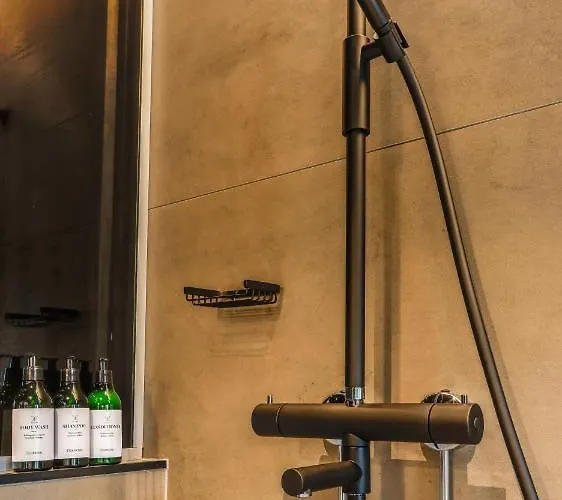 酒店 拉云托拉阿尔玛酒店 4*