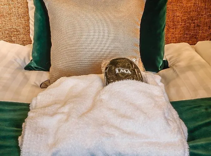 Hotelli-ravintola Alma 4* Seinäjoki